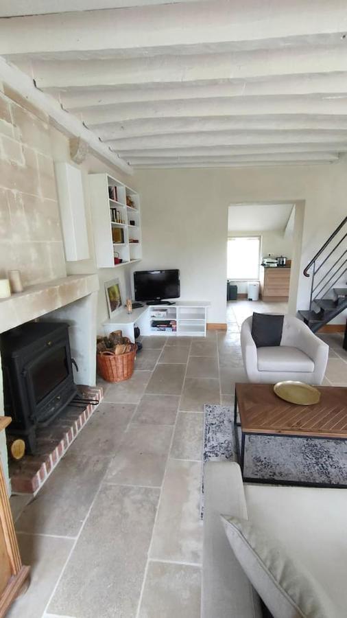 Villa Chateau Des Nouies Selles-sur-Cher Exterior foto