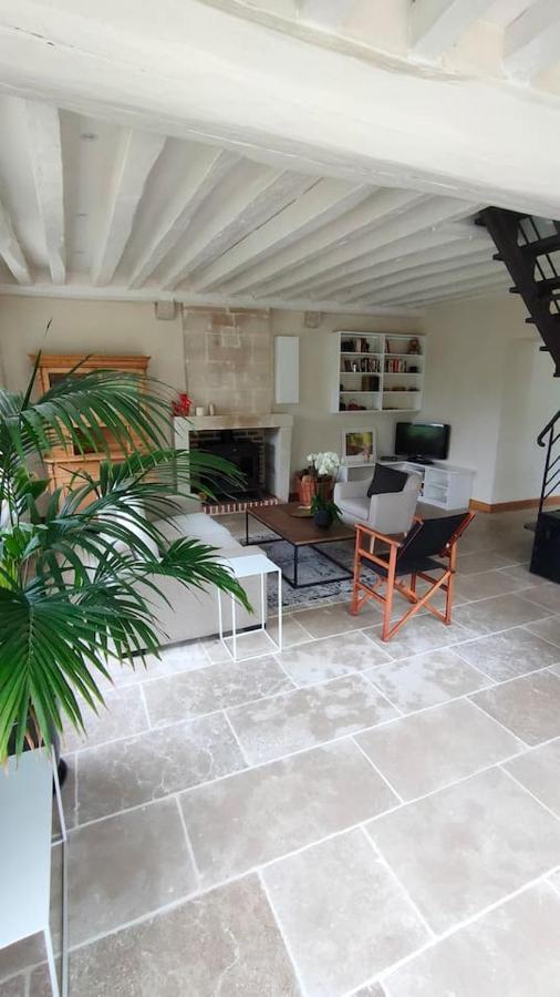Villa Chateau Des Nouies Selles-sur-Cher Exterior foto