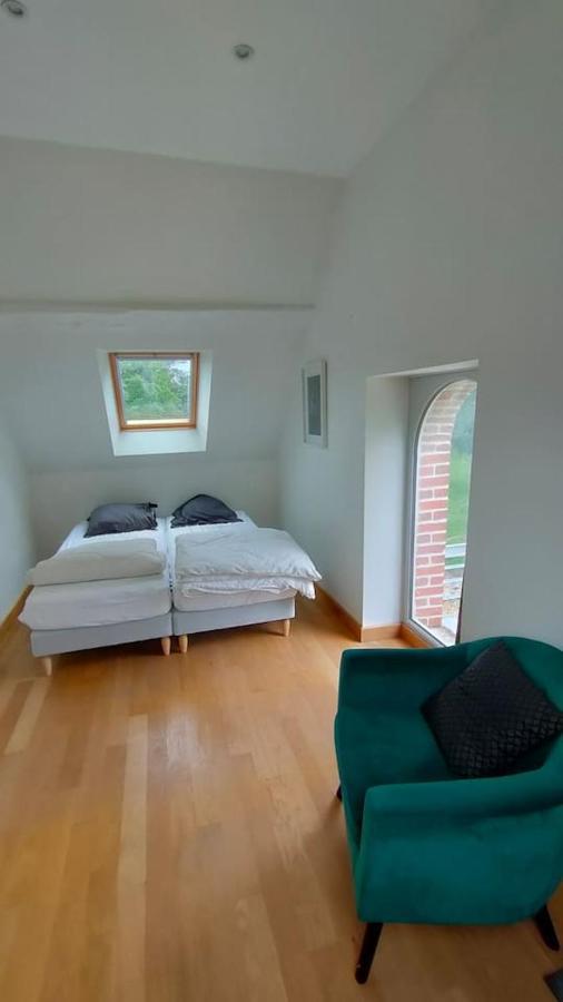 Villa Chateau Des Nouies Selles-sur-Cher Exterior foto
