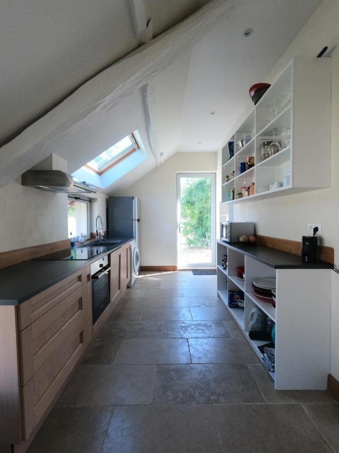 Villa Chateau Des Nouies Selles-sur-Cher Exterior foto